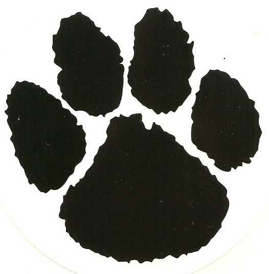 Riccar Pet Paw